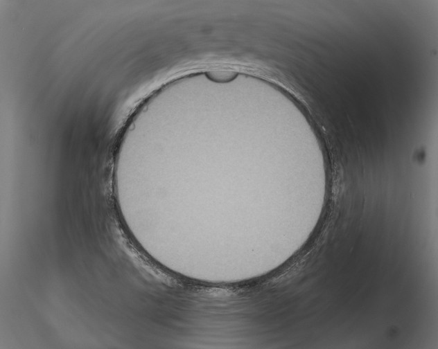 X0000114581507200911301322