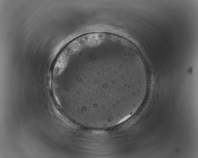 X0000114581509200911301322