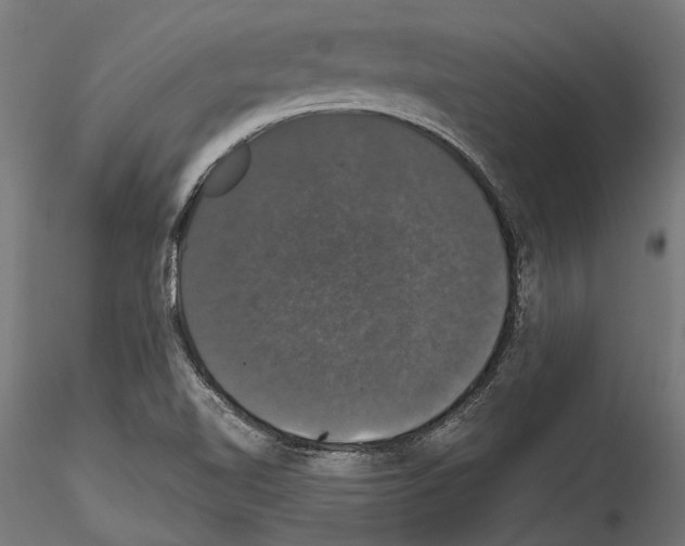 X0000114581510200911301322