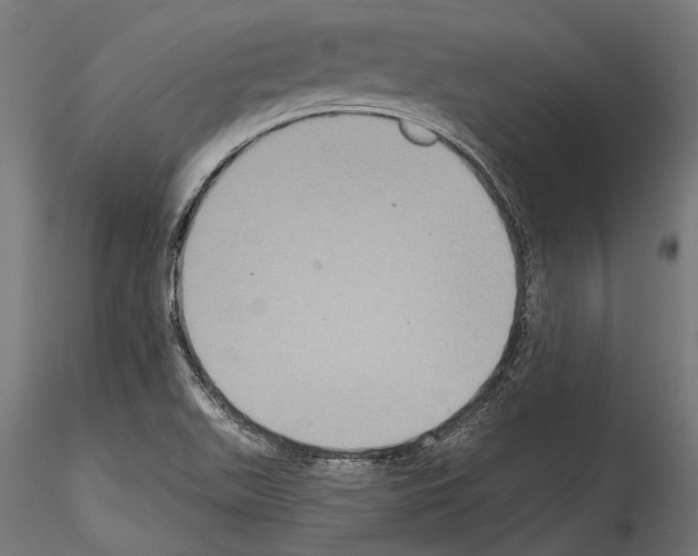 X0000114581511200911301322