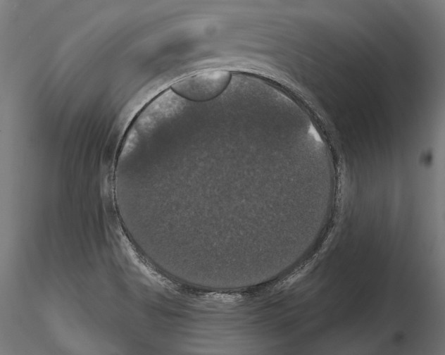 X0000114581513200911301322