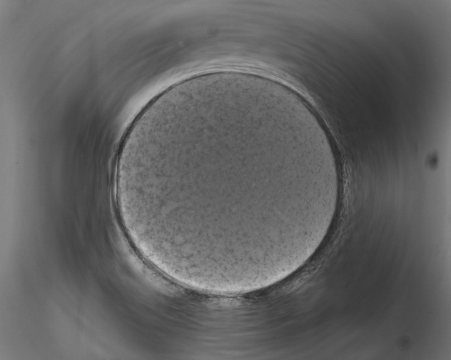 X0000114581515200911301322