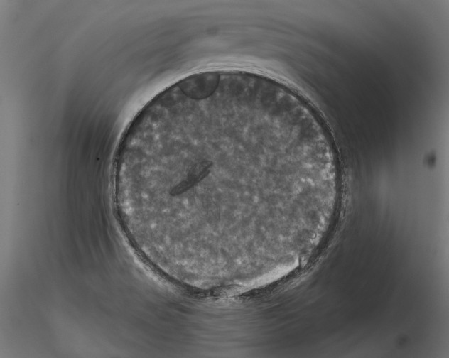 X0000114581517200911301322