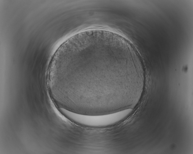 X0000114581519200911301322