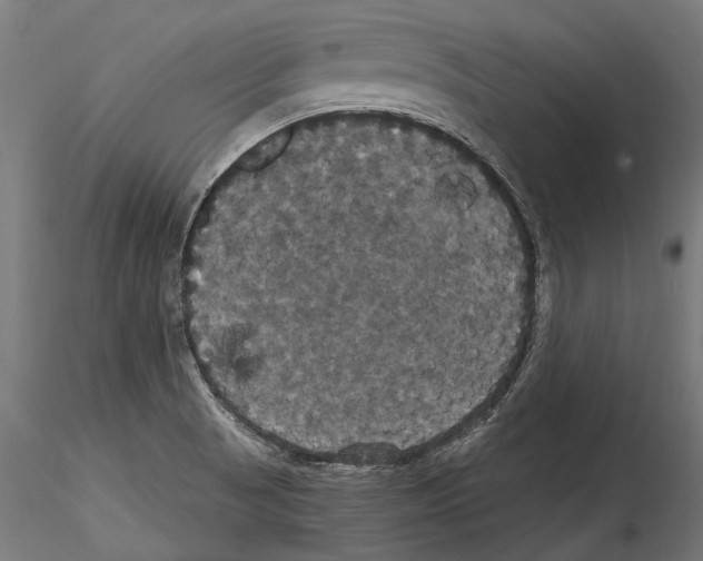 X0000114581521200911301322