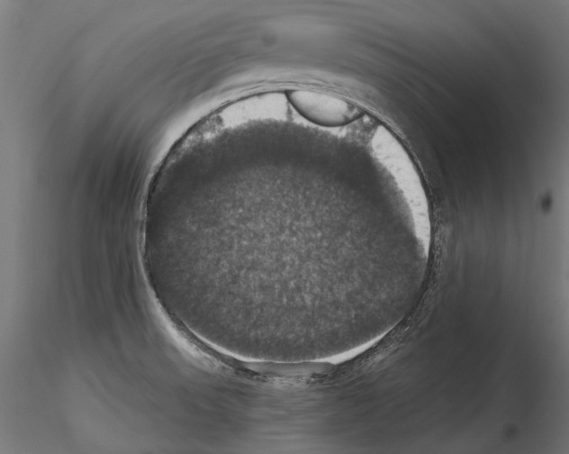 X0000114581523200911301323