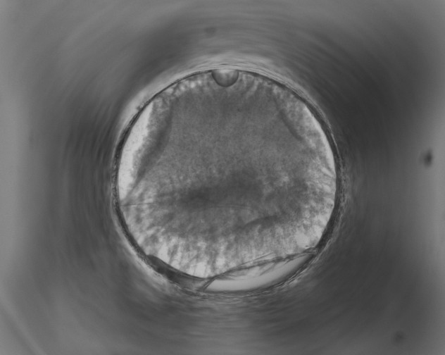 X0000114581525200911301323