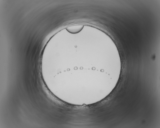 X0000114581526200911301323