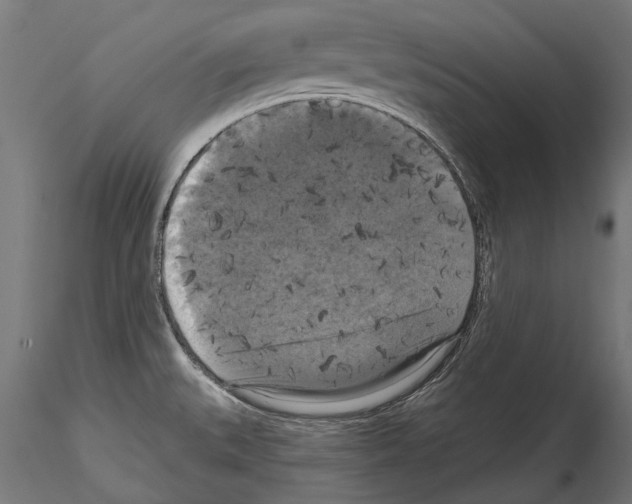 X0000114581527200911301323