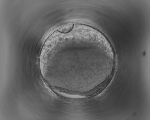 X0000114581529200911301323