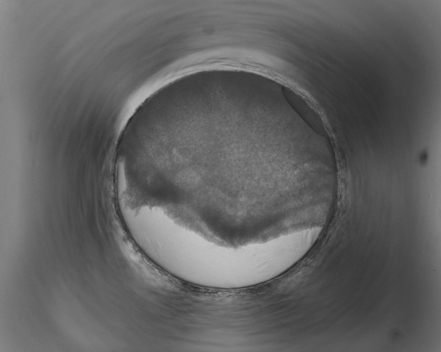 X0000114581530200911301323