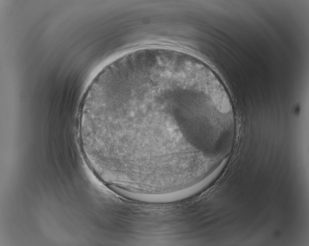 X0000114581531200911301323