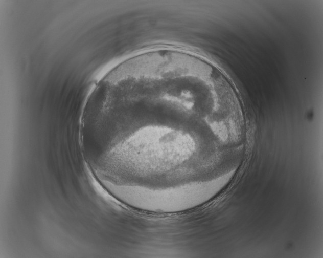 X0000114581535200911301323