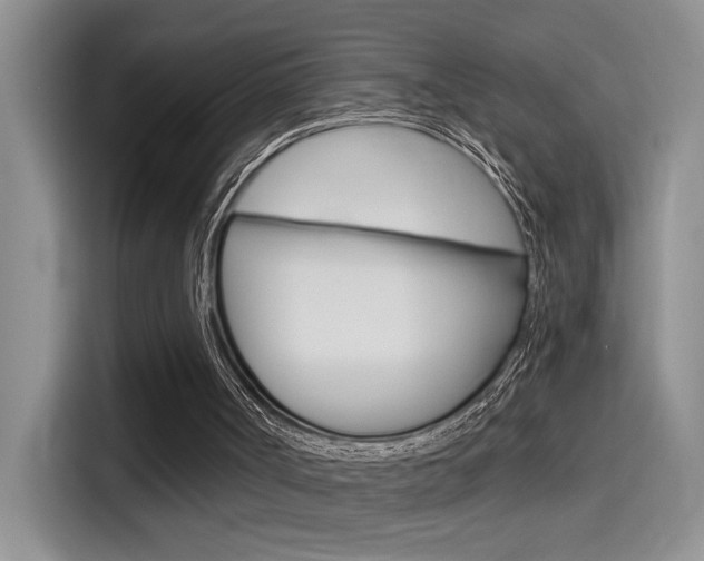 X0000114590002200910191043
