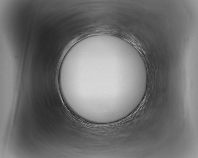 X0000114590003200910191043