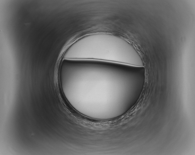 X0000114590004200910191043