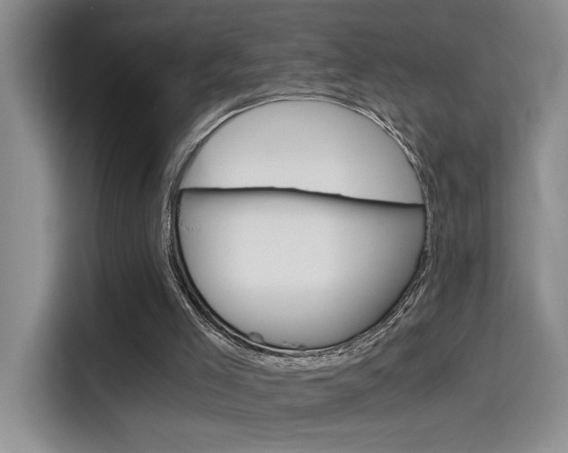 X0000114590005200910191043