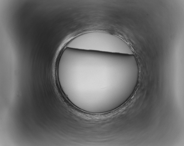 X0000114590006200910191043
