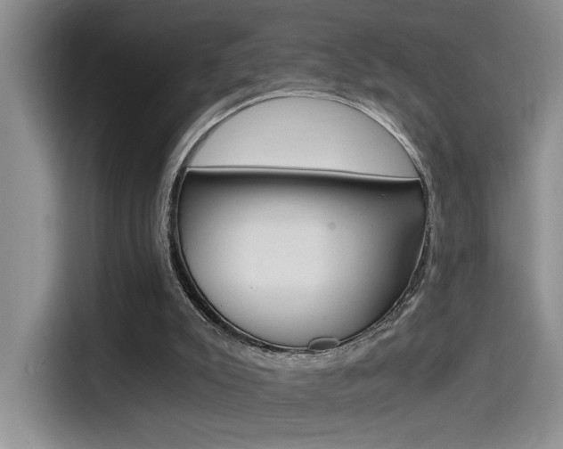X0000114590007200910191043