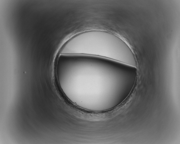 X0000114590008200910191043