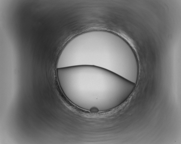 X0000114590009200910191043