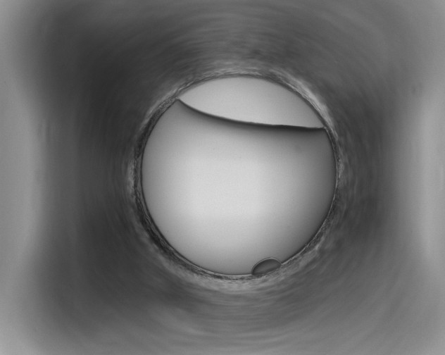 X0000114590010200910191043