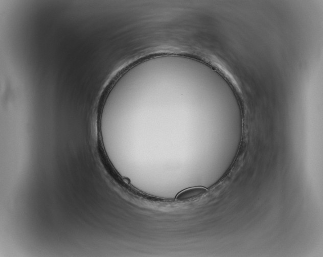 X0000114590011200910191043