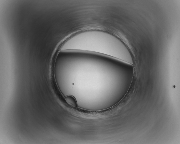 X0000114590012200910191043