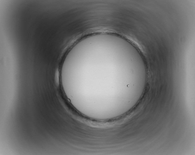 X0000114590014200910191043