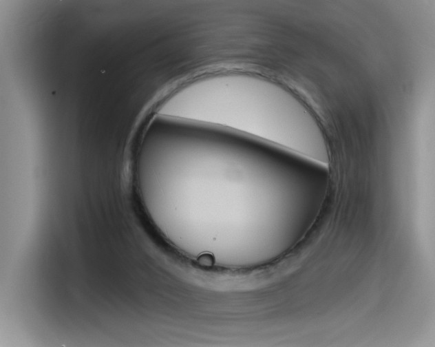 X0000114590016200910191043