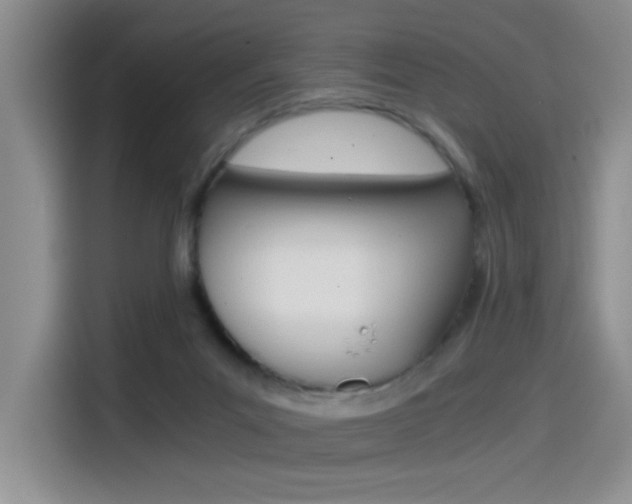 X0000114590023200910191043