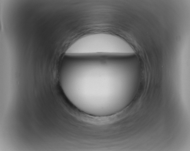X0000114590031200910191043