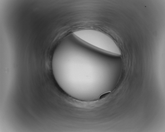 X0000114590035200910191043