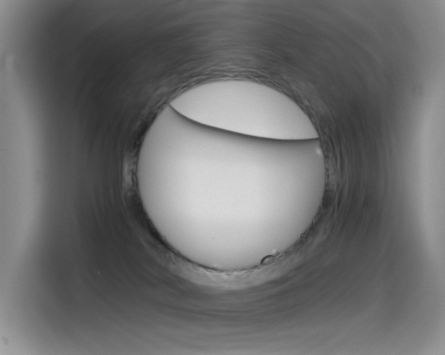 X0000114590038200910191043