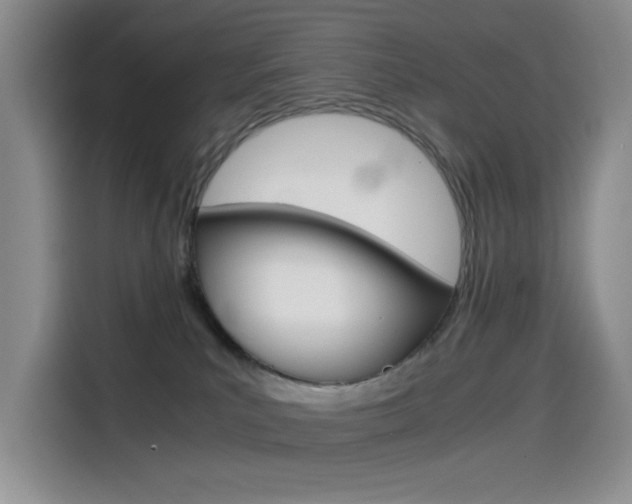 X0000114590039200910191043