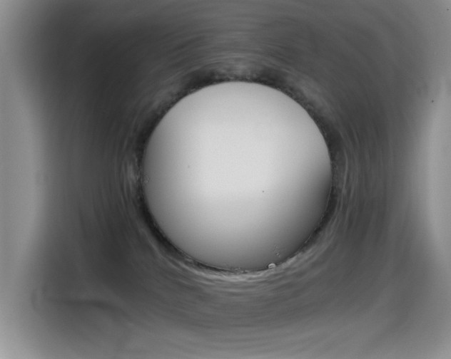 X0000114590040200910191043