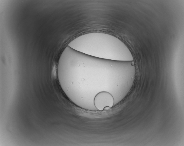X0000114590042200910191043
