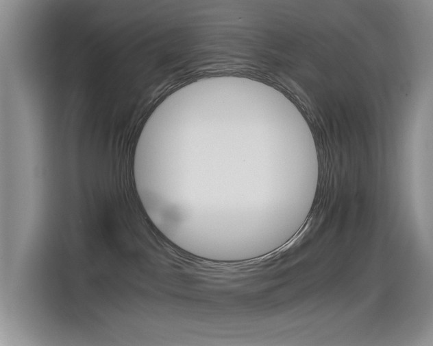 X0000114590045200910191043