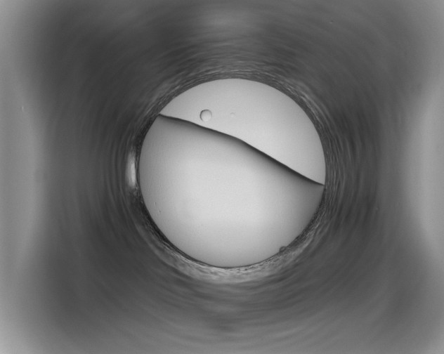 X0000114590046200910191043