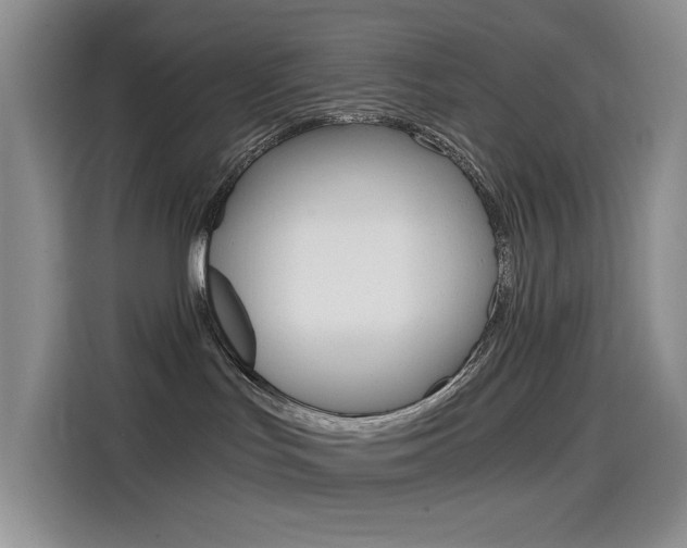 X0000114590047200910191043