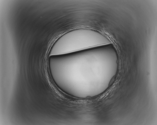 X0000114590049200910191042