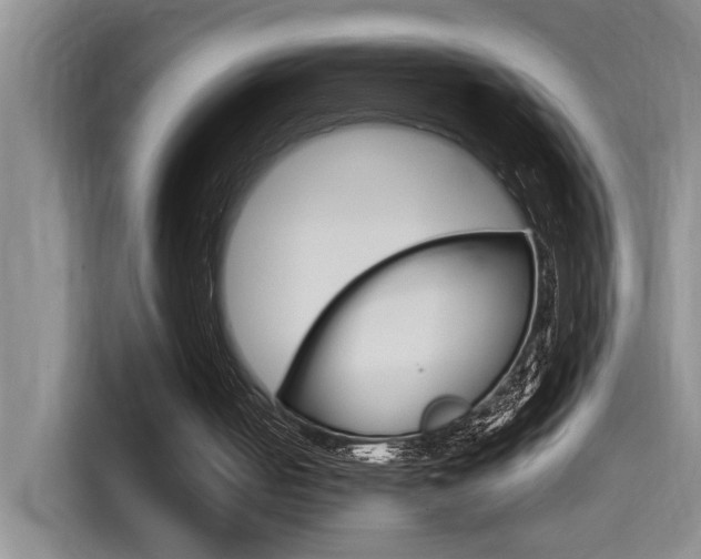 X0000114590050200910191042