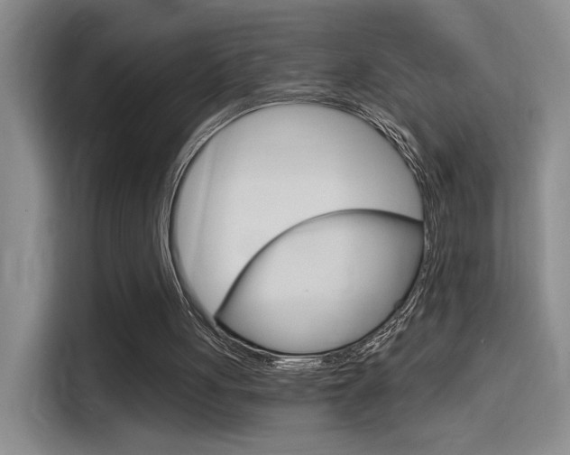 X0000114590051200910191042