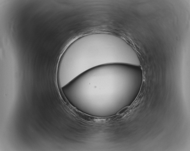 X0000114590052200910191042