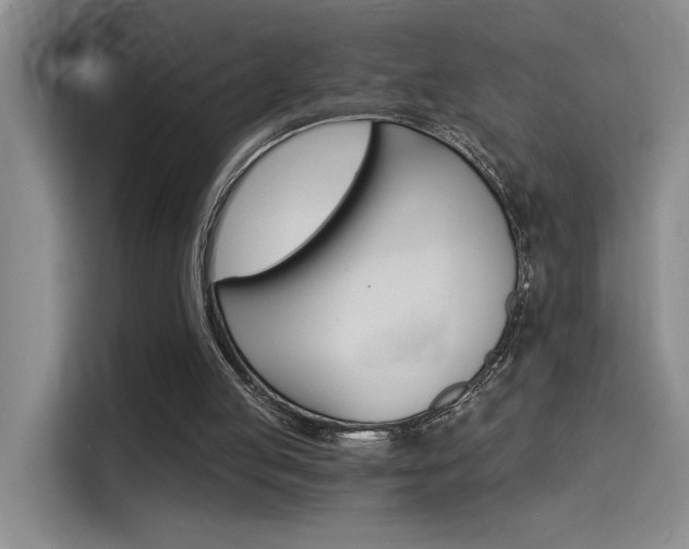 X0000114590053200910191042