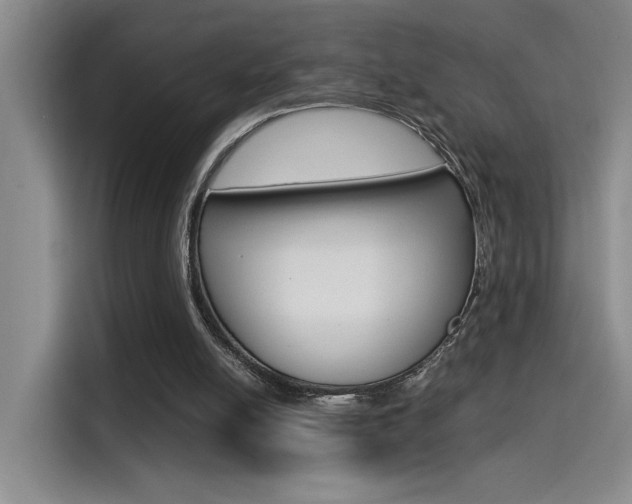 X0000114590054200910191042