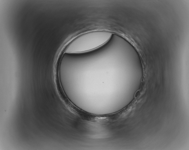 X0000114590055200910191042