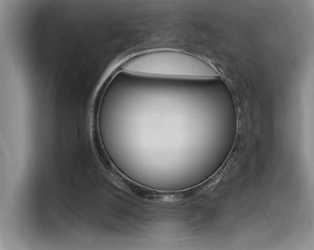X0000114590056200910191042
