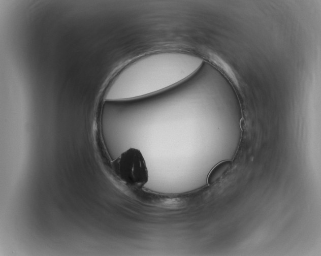 X0000114590059200910191042