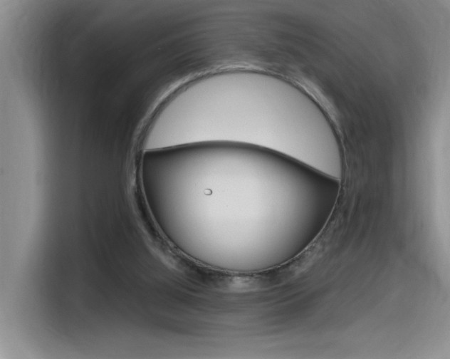 X0000114590060200910191042